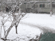 立体摄影-雪