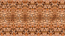 砖